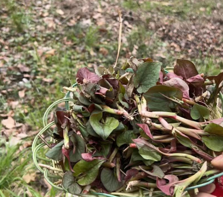 微信圖片_20250423163323